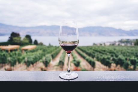 Napa Valley Wine Tour Package (currently Unavailable Due To Covid)